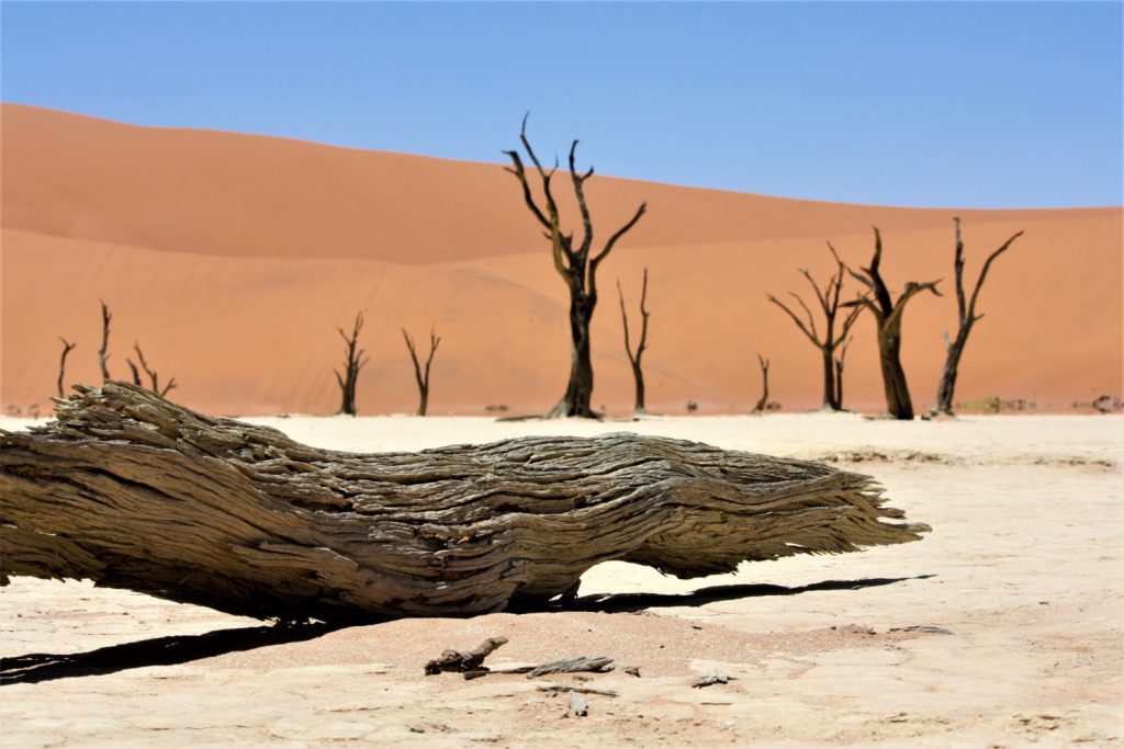 <a href='https://www.freepik.com/photos/background'>Background photo created by wirestock - www.freepik.com</a>